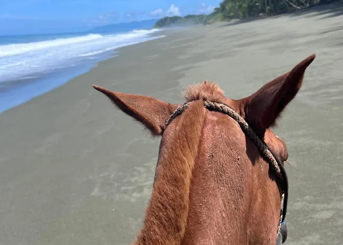 Tres Palmas Costa Rica