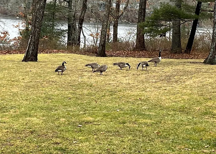 Fresh Pond East