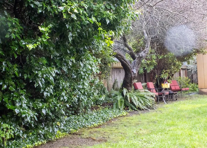 The Redwood Skywalk Retreat At Sequoia Park Zoo Projector Billiards Foosball Darts Firepit