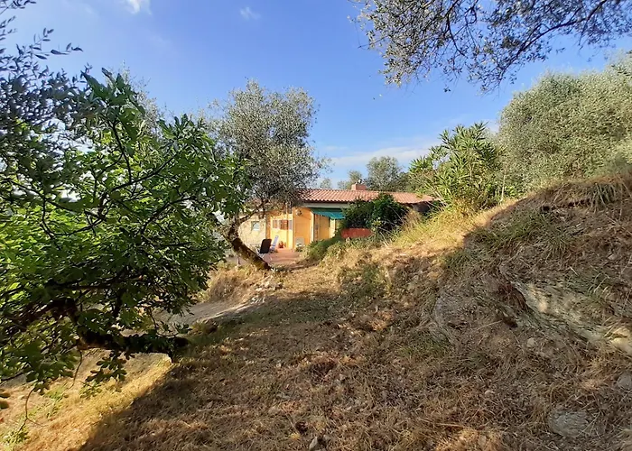 Casa Firmus