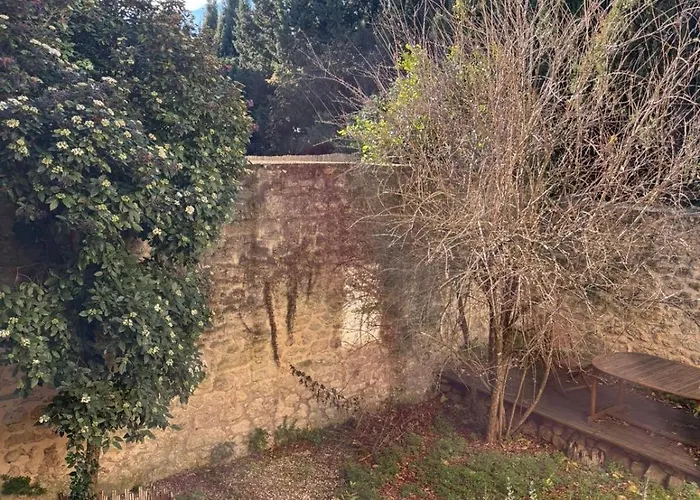 Le Cerisier Au Coeur D'Uzes