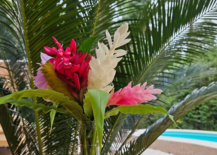 Fauna Lodge