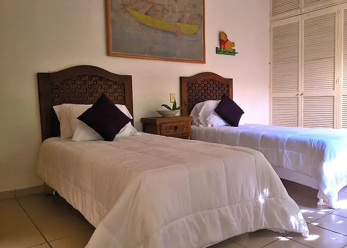 Condo Selva Alta