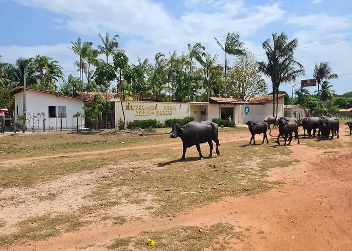Hospedagem e queijaria Péua