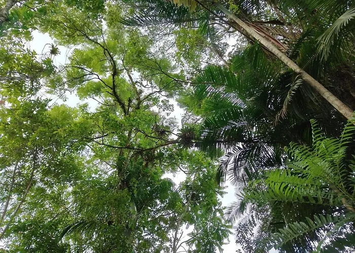 Chalé Girassol
