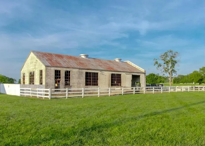 Bright And Airy Historic Franklin Quadplex