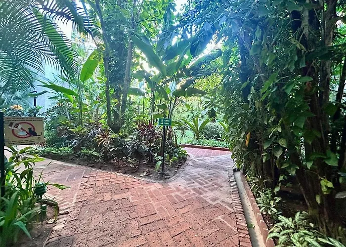 2 Bedroom Treetop Condo