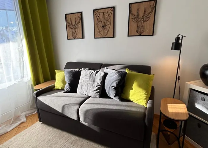 Studio Green Apple In Chamonix Centre, Parking, Ski Access
