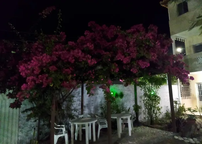Temporada Linha Verde