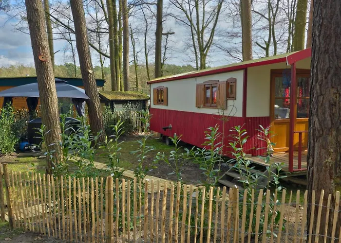 Pipowagen Met Prive Hot Tub