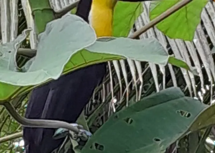 Los Paniquines Ecolodge
