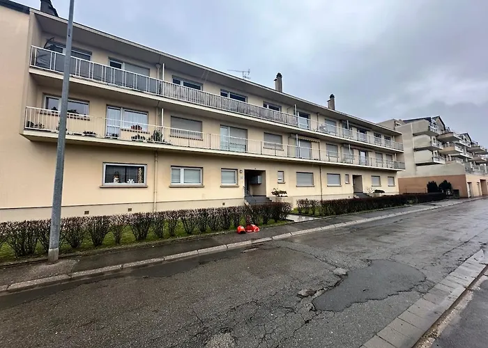 Le Petit Verdier Mosellan - Thionville - 2P