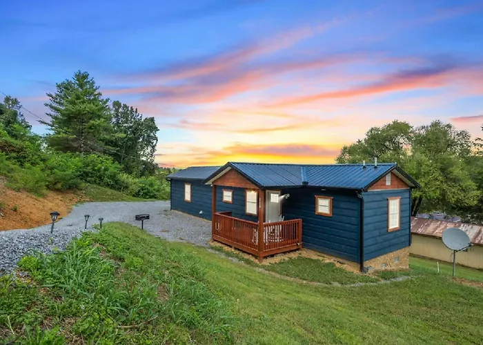 Lovely Tiny Cabin A Bearly Adventure!