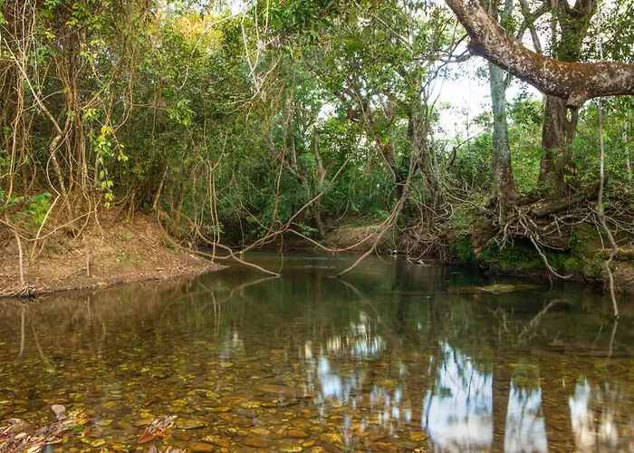 Pousada Camping das Aguas