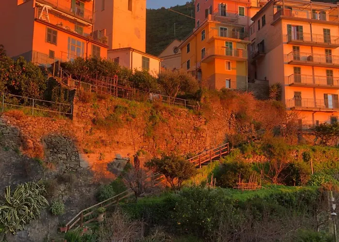 Irma Colua Manarola