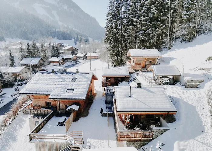 Savoya Lodges, 4 Chalets Prives, De 2 A 40 Personnes