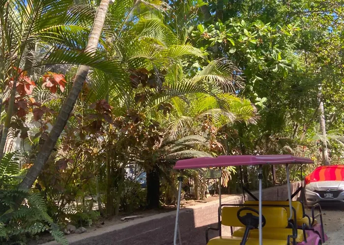 Casa Mara Beachfront Villa - Pool & Sunset Views