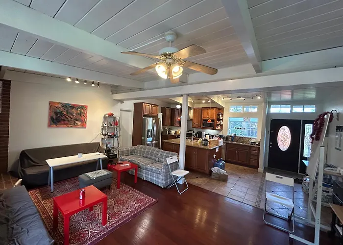 Olive Startup House