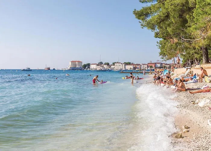 Pet Friendly Home In Novigrad