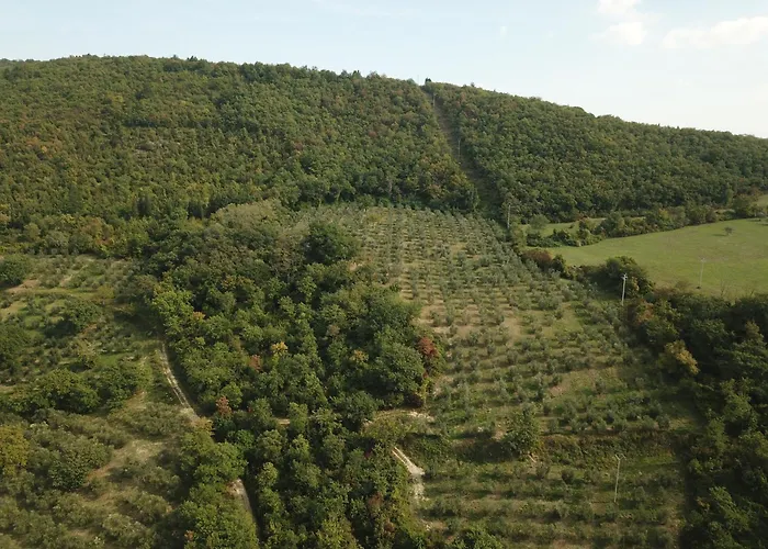 Agriturismo Fattoria Poggio Di Fiesole