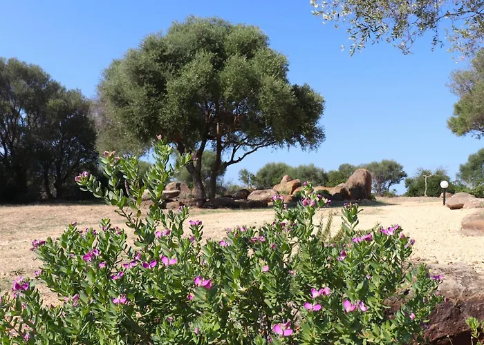 Country Villa Sant' Elene- Appartamento Mirto