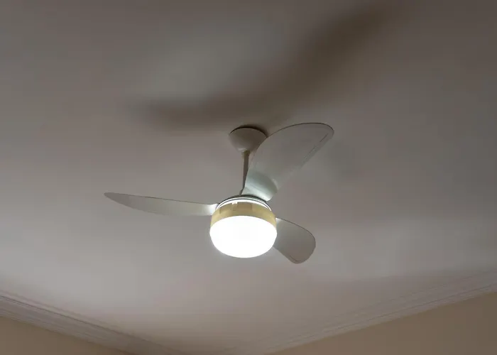 Mansão Adalgisa