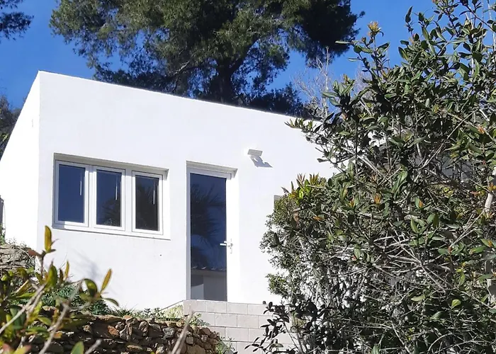 Les Bromelias Ile Du Levant