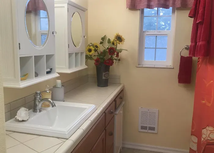 Octopus Suite