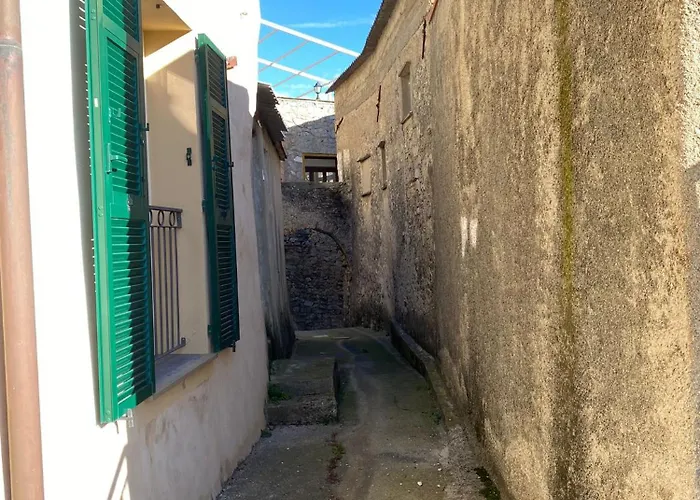 Gli Ulivi Della Monda