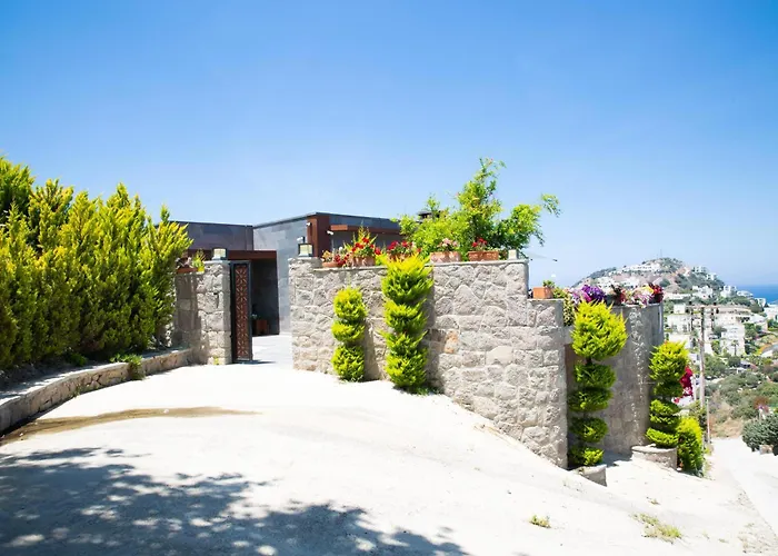 Villa Calista By Important Group Travel