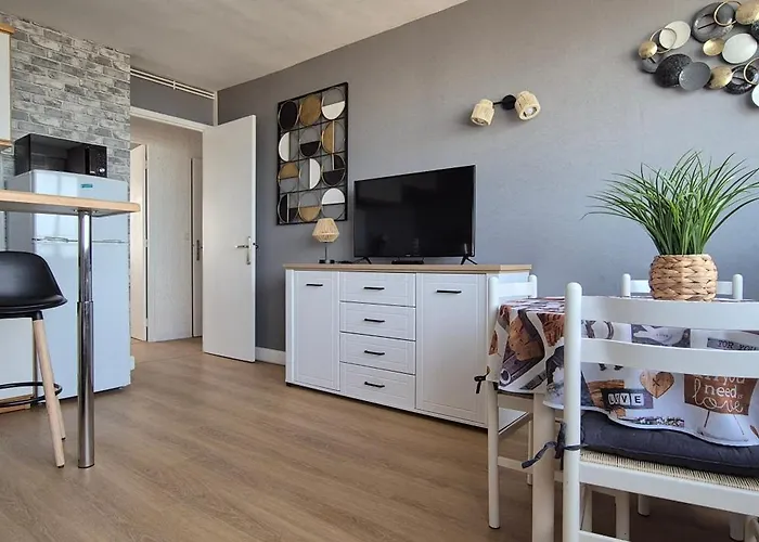 Residence Du Bord De Mer Plusieurs Appartements Avec Vue Mer Garantie