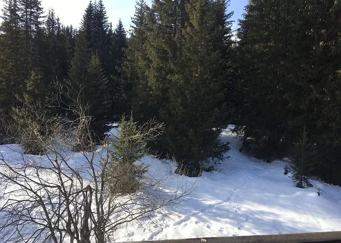 Appartement 3 Pieces Pres Des Pistes - Courchevel 1850