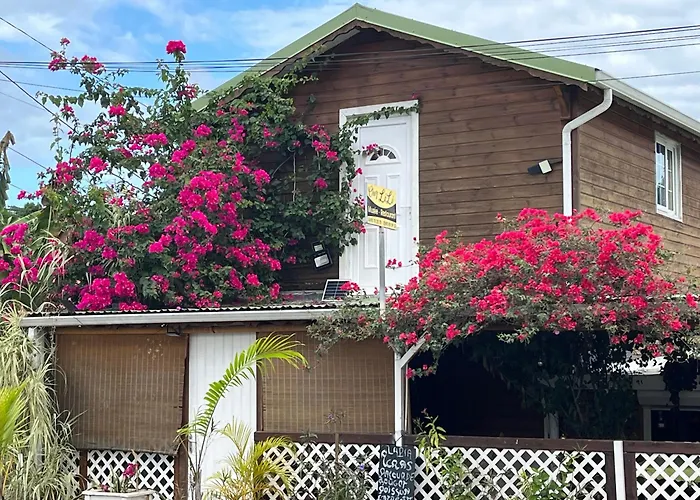 Le Cosy Bungalow De Lili / 5Min De L'Aeroport