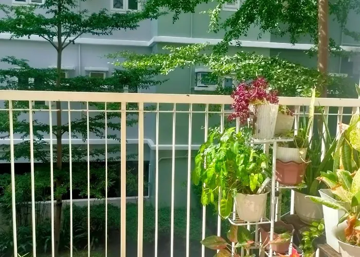 1Br At Trees With Balcony Quezon City