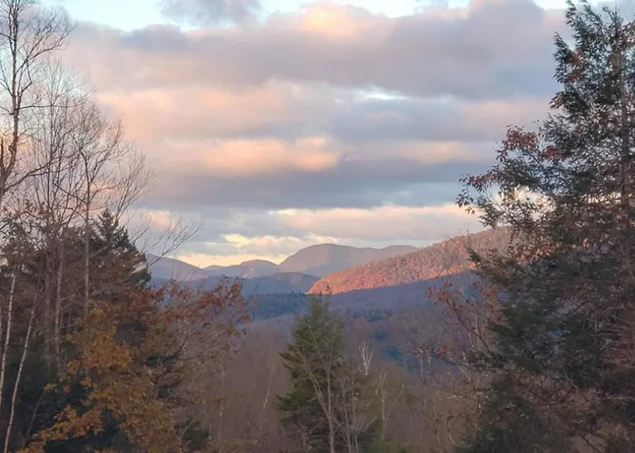 Tin Mountain Treetops Time