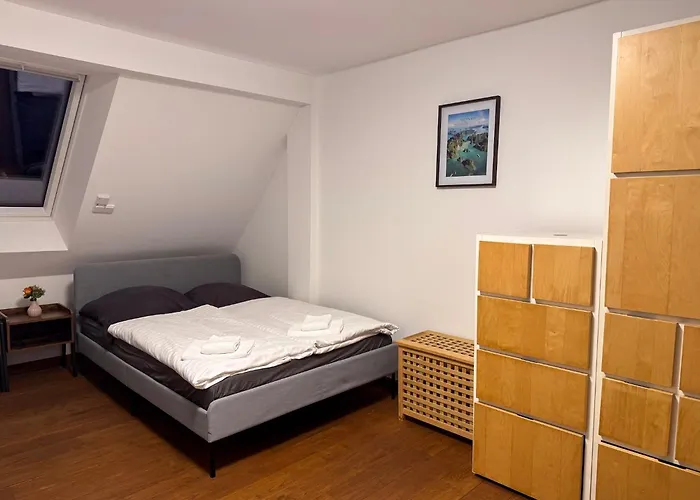 T&K Apartments - 8 Room Detached House - 6 Min To Messe Dus