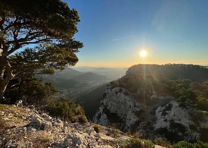 Essencia, Gite Dans Les Collines De Toulon