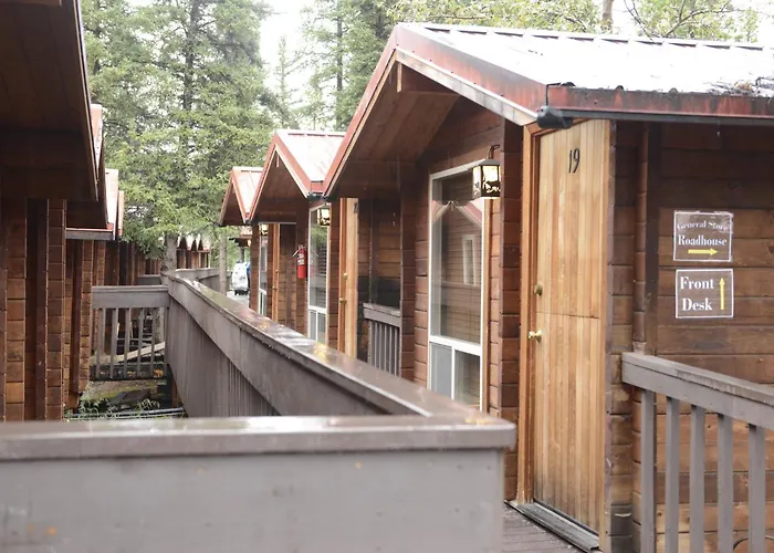Denali Grizzly Bear Resort