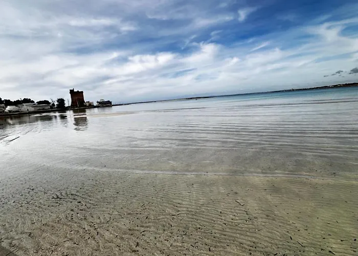 Licasedimare