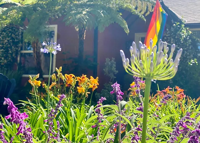The Vine Studio City - Cal King - Private Entrance