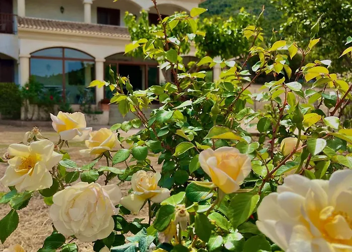 Residence U Filipaghju