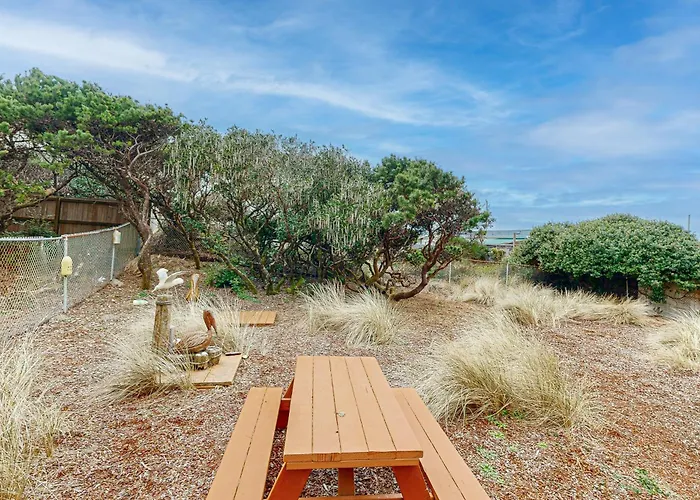 Lofty Pelican