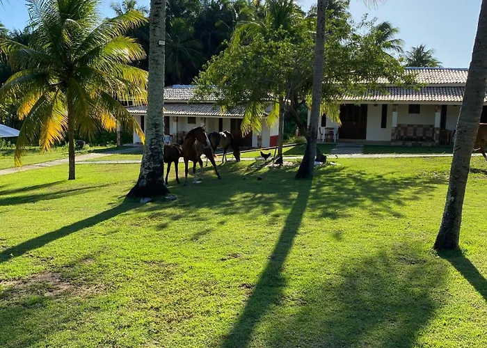 Eco Pousada côco dendê