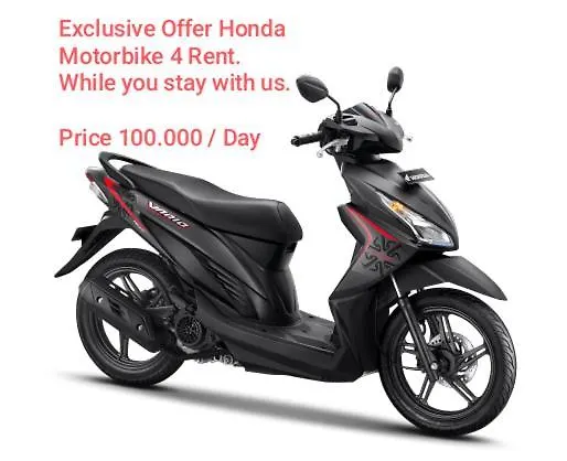 The Athena Bali 202