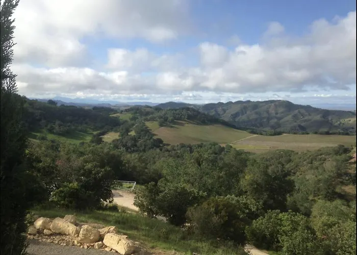 Lekai Ranch Forever Vineyard Views