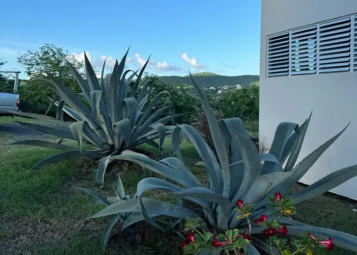 Tres Bahias Culebra