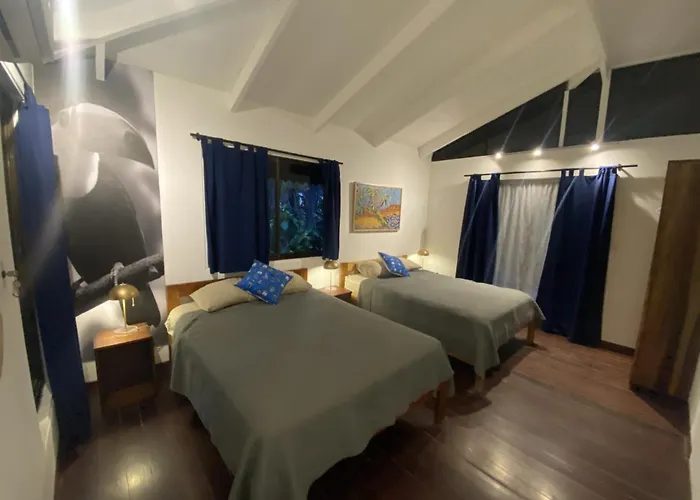 Punta Uva Puerto Viejo Beach Front House With Swimming Pool