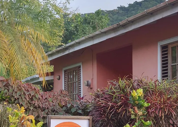 Cocoa Pod Studio