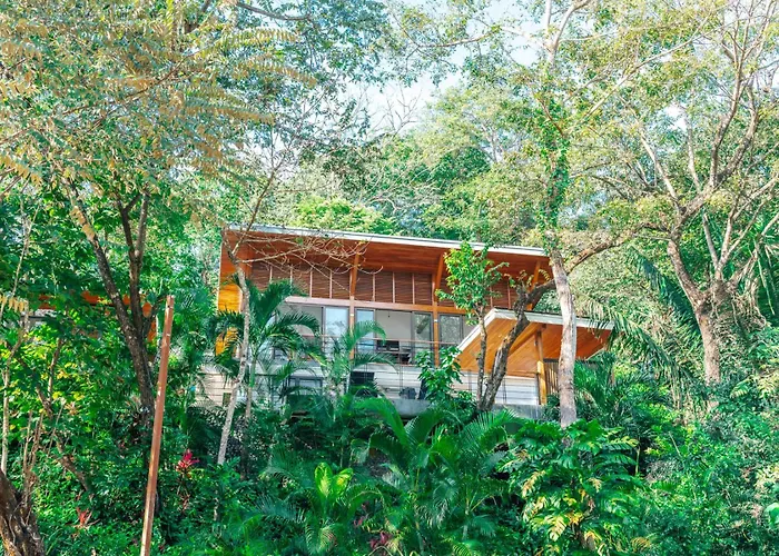Casa Canopy