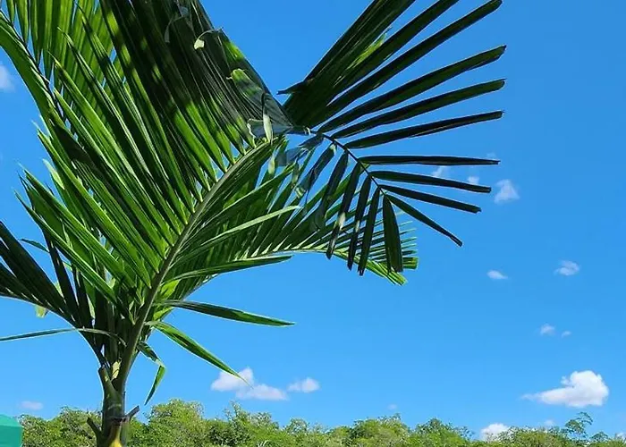 The Everglades House